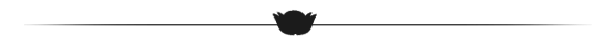 Separator4